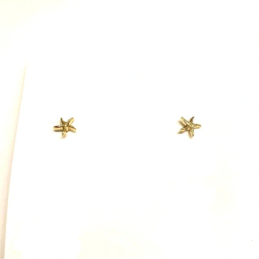 Baby Starfish Teeny Tiny Sea Star Bumpy Knobby Tube Feet Pedicellaria Ocean Stud